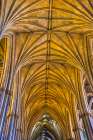 United Kingdom, England, Bristol. Bristol Cathedral. Art Print